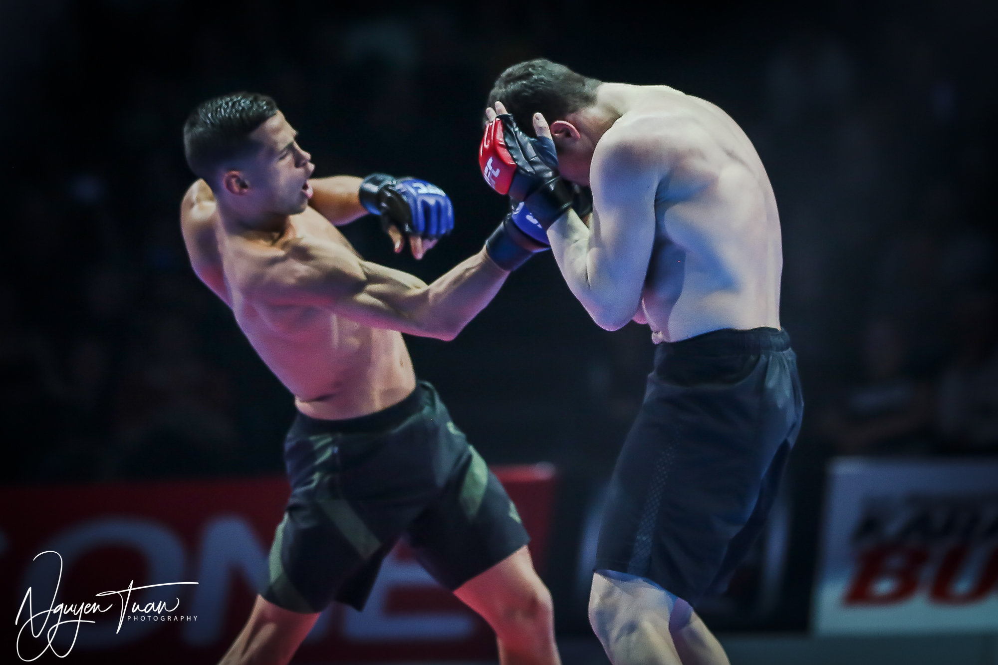 20190324 Festival des Arts Martiaux 5155